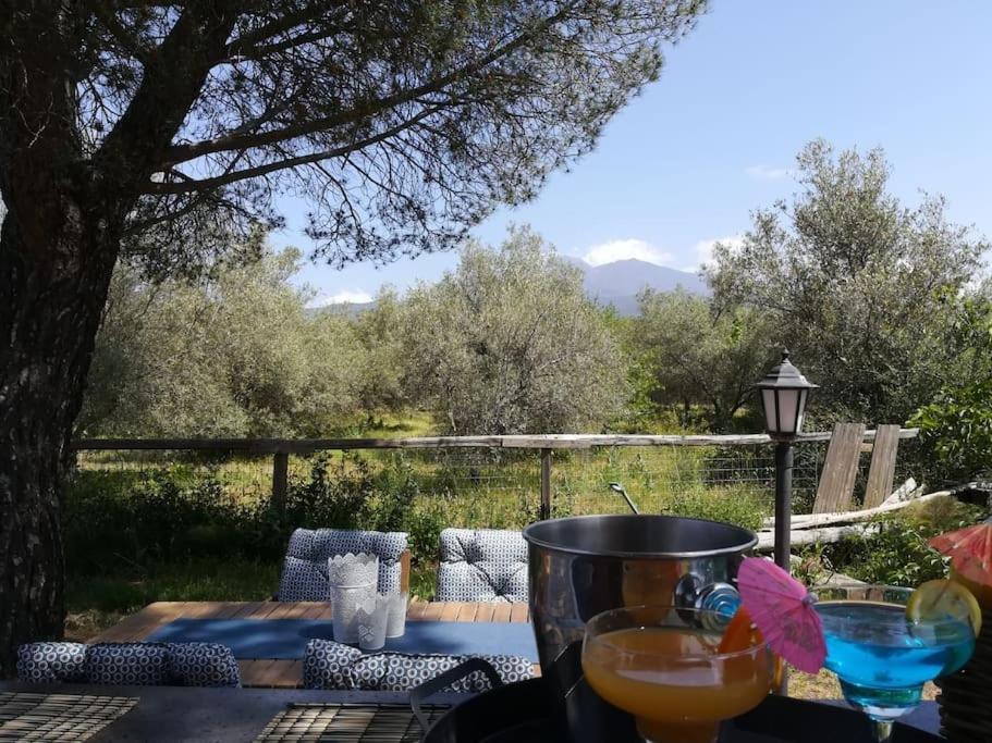 Villa Segreta, Mount Etna Belpasso Exterior foto